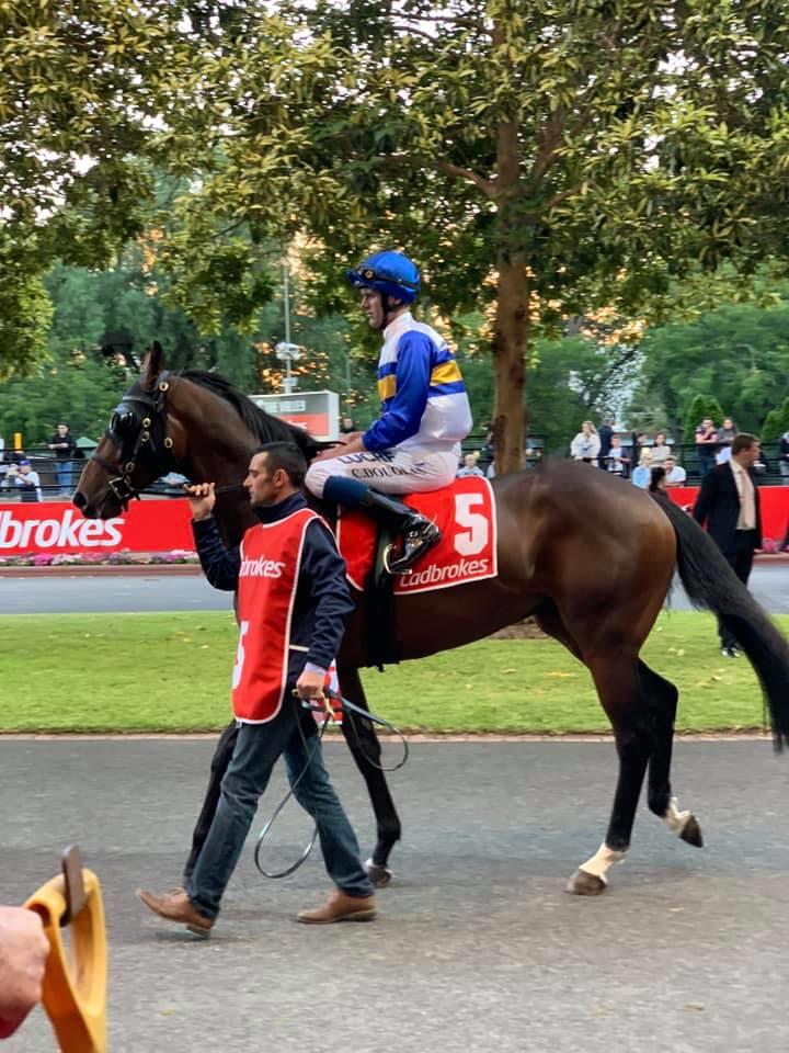 Play Me Now Moonee Valley win