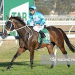 Realign wins at Werribee