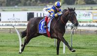 Filly Sizzling on her SA Oaks path