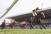 Trapeze Artist wins Group One Golden Rose