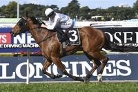Flying Deploy runs another track record