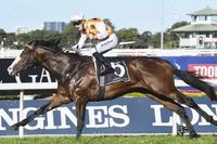 All systems go for Menari in Rose