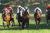 Menari, Deploy remain in contention for a spot in The Everest