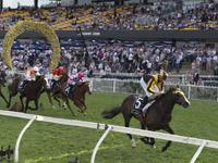 Trapeze act ruled out but Epsom still on Ryan’s radar