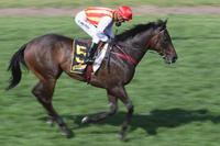 Washington Heights earns Epsom start