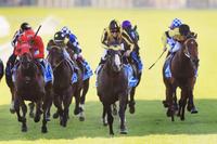 Trapeze Artist heads All Aged Stakes nominations