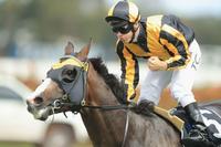 All Aged before Everest tilt for Gerard Ryan's Trapeze Artist
