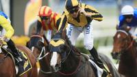 Trainer Gerald Ryan sets sights on Everest as owners field $40m offers for Trapeze Artist