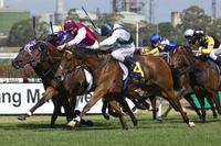 Red Excitement in Civic Stakes assignment