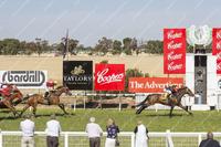 Balf's Choice and Kirona on target for Saturday's Group 3 Mile