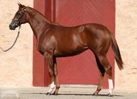 Krupt X Lil Cashy.png