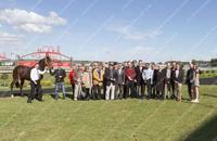 Million Dollar Group 1 Sangster for Mystified