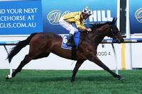 Mystified aims to become the Proud Miss
