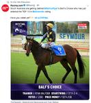 All Star Miler makes a run at the leaders