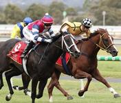 Magic Millions for Li'l Kontra