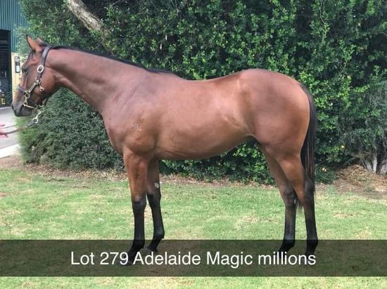 Love Conquers All X Courtship