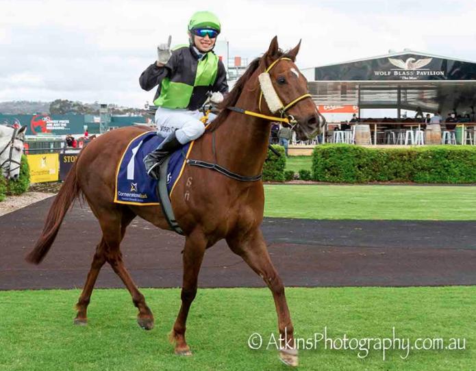 Ready and Jerry are Shining !