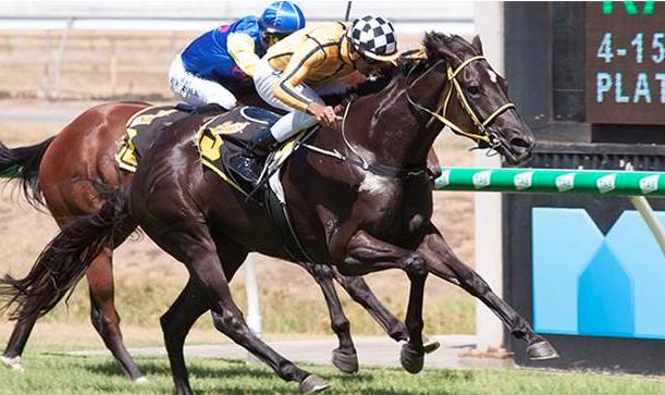 DREAMED  - Classy filly returns 