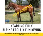 Alpine Eagle Filly joins #TeamRBR