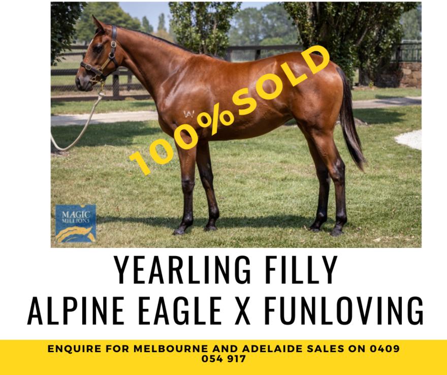 Alpine Eagle Filly joins #TeamRBR