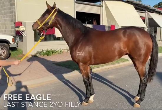 Free Eagle X Last Stance