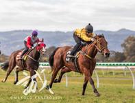 Alana Livesey joins the SA apprentice ranks