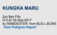 Kungka Maru