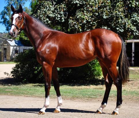 LOT 416 Canford Cliffs X Yes I Will