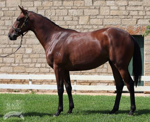 Shamus Award X Holly Go Lightly 15