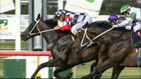 Aanvoerder Picks Up A Second At Ipswich First Time Out For The New Yard