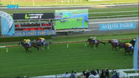 Ten Taubada's Finishes With A Second At The Gold Coast