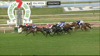 Hollydeen Arrives In Third At Ipswich Under Jeff Lloyd