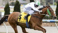 Big Races to come for Stable Favourites