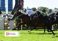 The Winners Are Stacking Up For Laming Racing