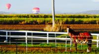 Laming Racing on Facebook!