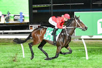 Laming Racing Continues To Prosper Through The Month Of May