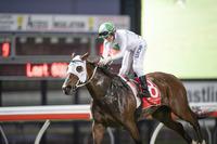 The Stable Saddles Up More Winners For June Including The Listed Glasshouse Winner, Jamaican Rain