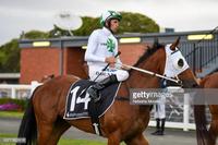 The Stable Gets A Couple Of Winners With Limited Runners Competing In January
