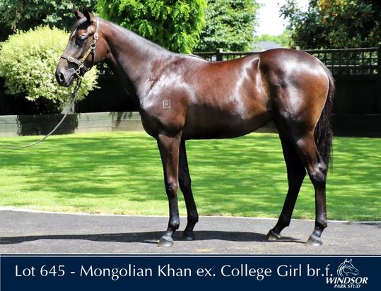 Mongolian Khan X College Girl