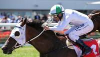 A Massive Month Of Winners Including The Group 3 Mannerism