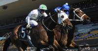 Laming Racing The Month That Was