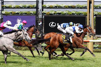 Laming Racing The Month Of February - Winners In Review.