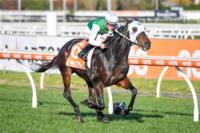 May Came And Went Though The Winners Kept Coming For Laming Racing.