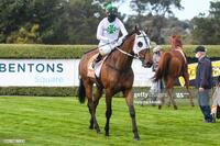 Laming Racing The Month Of August - Winners In Review.