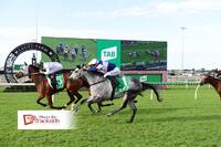 The Team Claims Some Wins Amongst A Bunch Of Placings Throughout September