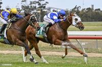 A Strong Month For The Stable Saw The Continuation Of More Winners Throughout October.