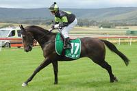 REALLY REILLY brings up 3 winners in a week