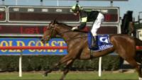 FRANCISCA Sheds Maiden in Style
