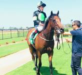 GREENSPAN - A stayer of the future!