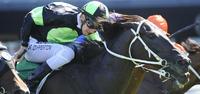 Proven Thoroughbreds welcomes Jason Cornell